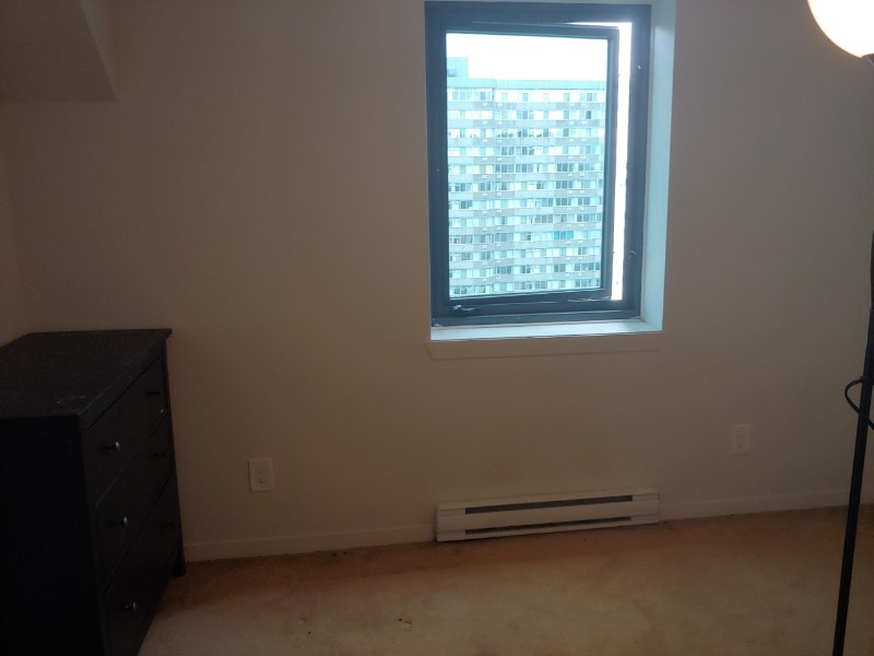 Room for rent in 3bedroom apartment (Lees Avenue) Room Rentals