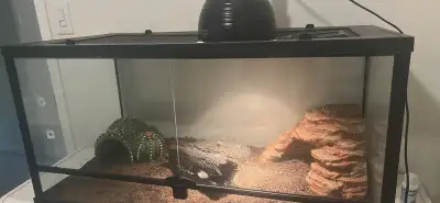 40 Gallon Reptile Terrarium PLUS Includes: All the hides in photo Dome Lamp Fixture + 100w bulb PICK...