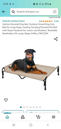 XXL Coffee Coloured Elevated Dog bed 