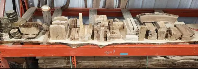 Wood turning blanks (4 local fruit species available!!!!) in Hobbies & Crafts in Winnipeg - Image 5