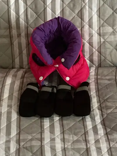 Small dog vest, View more