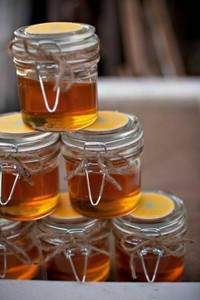 100% Organic Honey from Mississauga Hives
