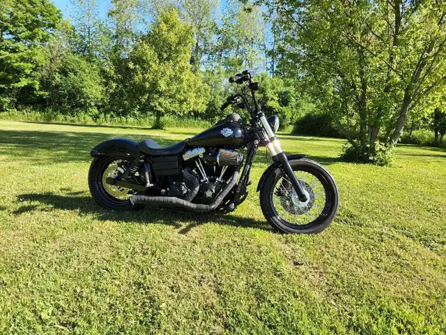 2012 harley davidson dyna street bob in Street, Cruisers & Choppers in Belleville - Image 3