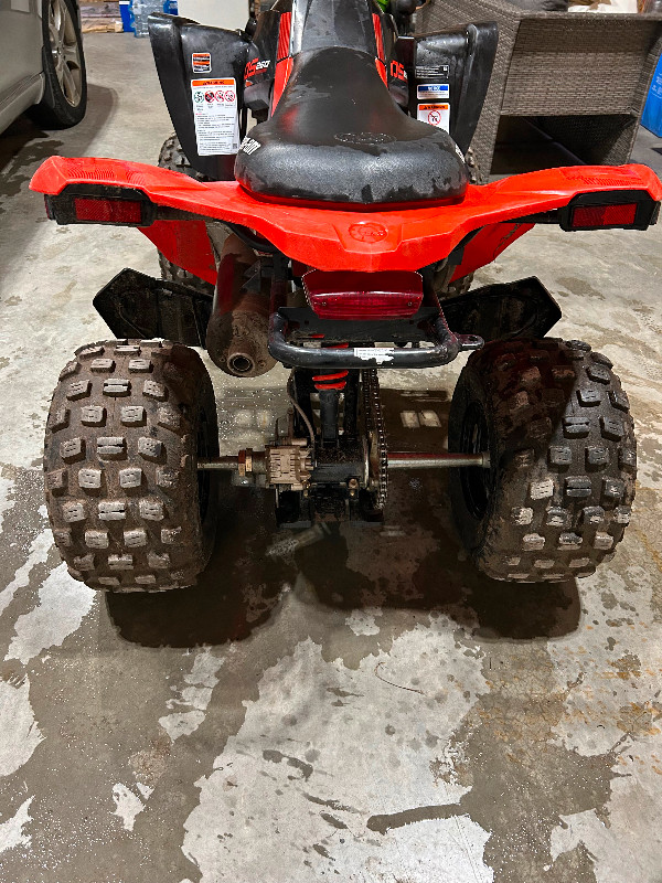 2021 Can-Am DS250 in ATVs in Barrie - Image 2