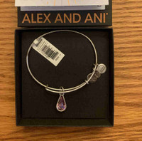 Alex and Ani bracelet 