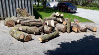 Arborist's, Tree Guys, Are you looking for a place to dump Logs?