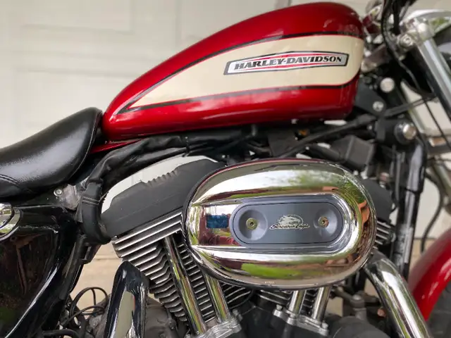 2006 Harley Davidson Sportster XL1200R in Street, Cruisers & Choppers in Winnipeg - Image 4