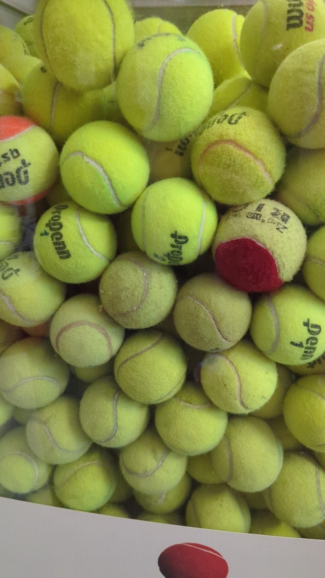 Free Bag of Used Tennis Balls Free Stuff City of Toronto Kijiji