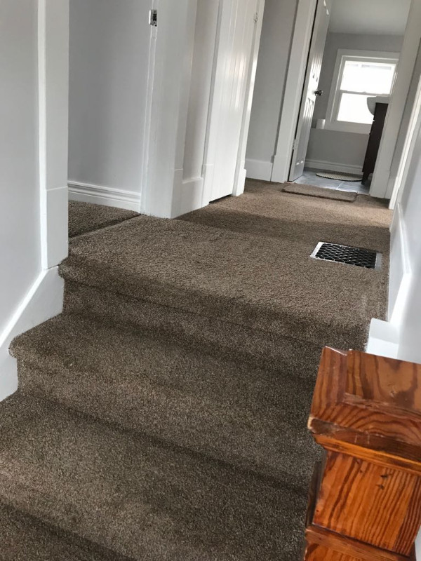 Rooms for Rent for Female Lambton College Students Room Rentals