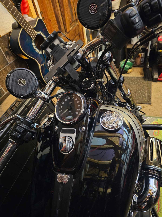2015 Harley Davidson fat bob in Street, Cruisers & Choppers in Cole Harbour - Image 4