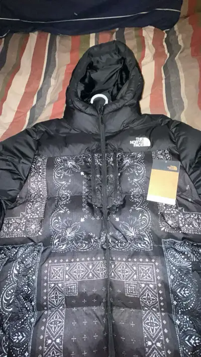 the north face winter coat (hooded ), View more