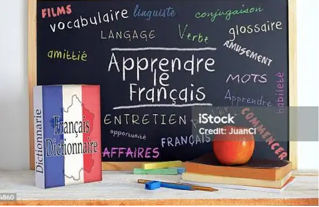 SCAM ALERT - FRENCH TUTOR~SUMMER CLASSES~TEF, DELF, IB ~SUCCESS514440198399600641
