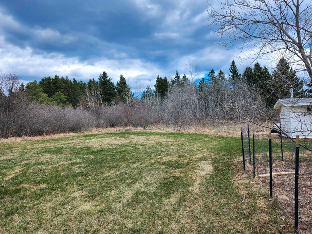 Spot for tiny house  in Long Term Rentals in Moncton - Image 3