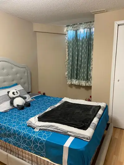 PRIVATE FULLY FURNISHED BASEMENT ROOM – MAY OR JUNE | NEAR TRINITY COMMON MALL | ALL UTILITIES INCLU...