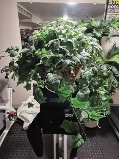 Fake plants, View more