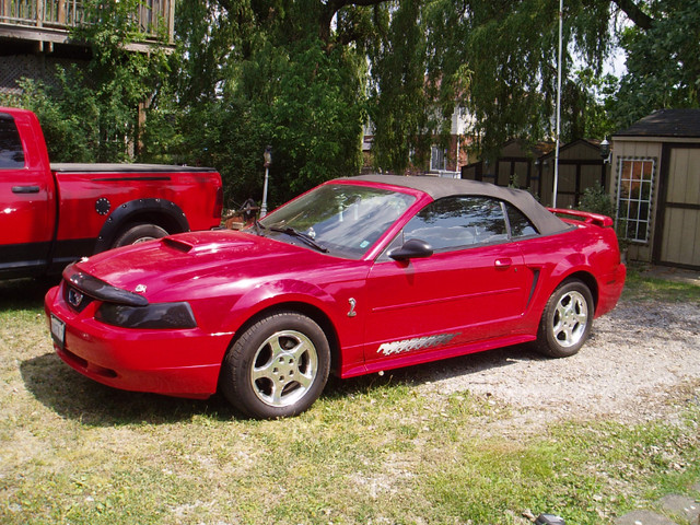 Mustang Convertible in Cars & Trucks in Brantford - Image 2
