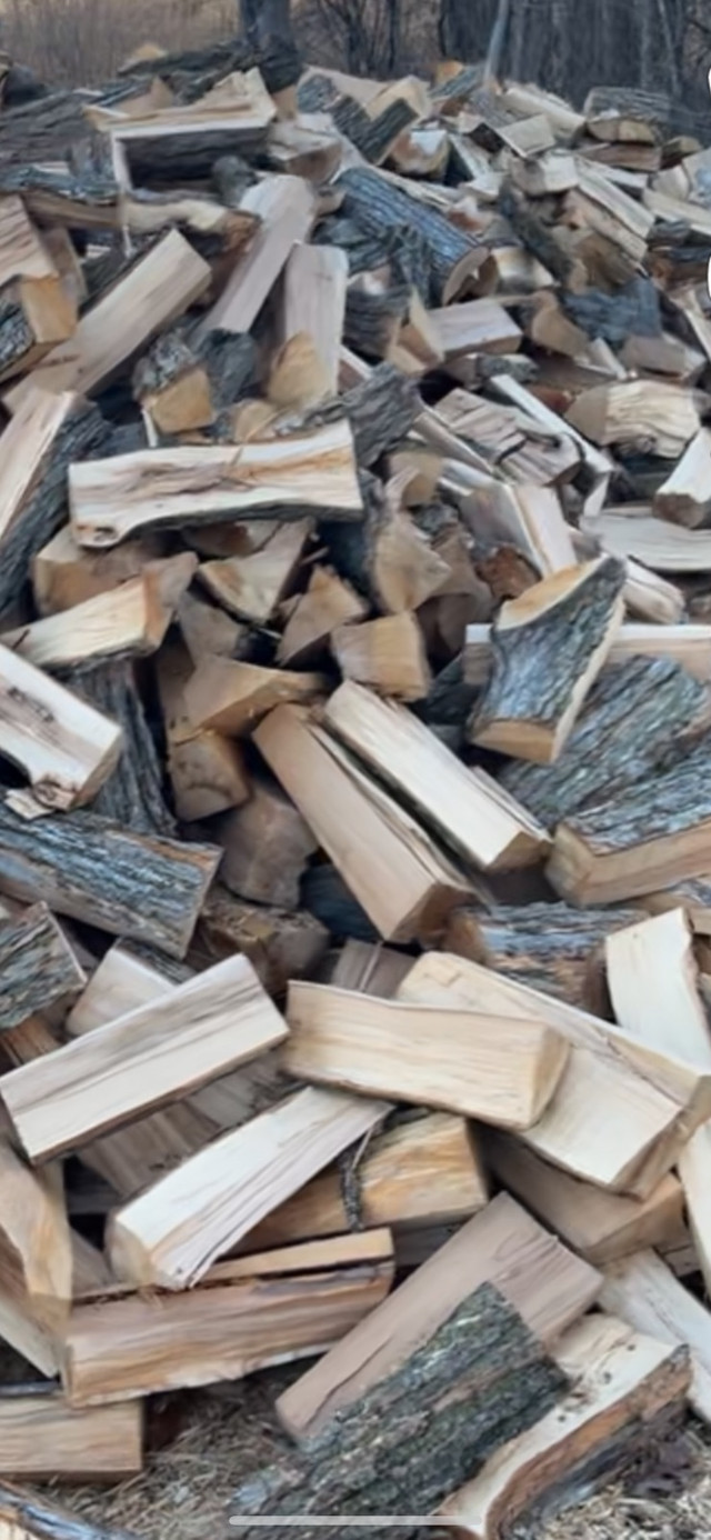 Hardwood Firewood in Other in Kingston