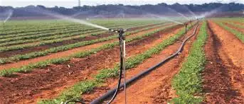Irrigation Season is Here! Book Your Sprinkler System Opening Now! Don’t wait—spots are filling fast...