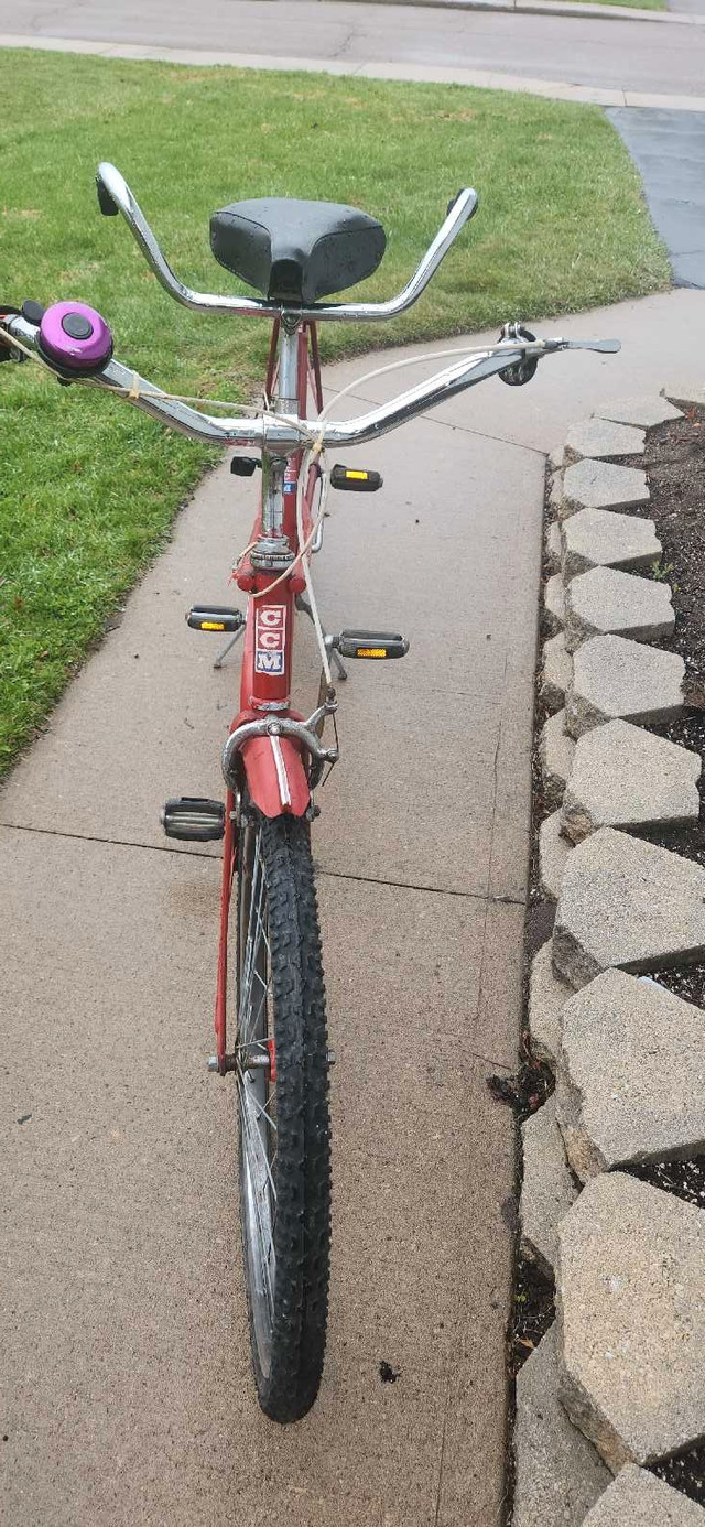 Bicycle built for 2 in Other in Renfrew