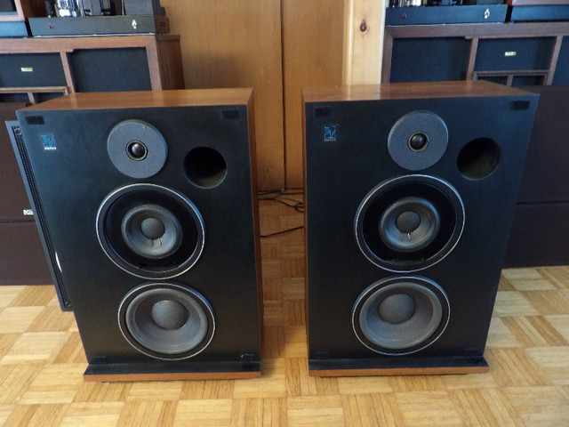 Electro-Voice Interface C Series II speakers, CONSIDERING TRADES in Speakers in Gatineau - Image 2