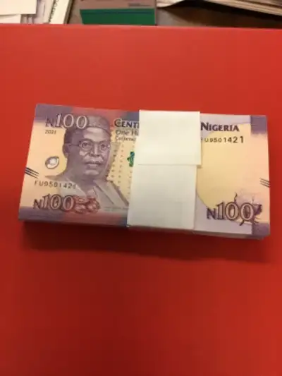 Brand New 100 Notes of 100 Bundle Central Bank of Nigeria Brand new crispy notes The Nigerian one hu...