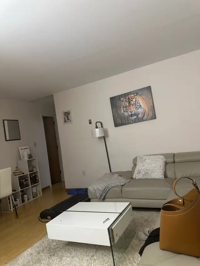 room to rent / full apartment in Long Term Rentals in Charlottetown - Image 2