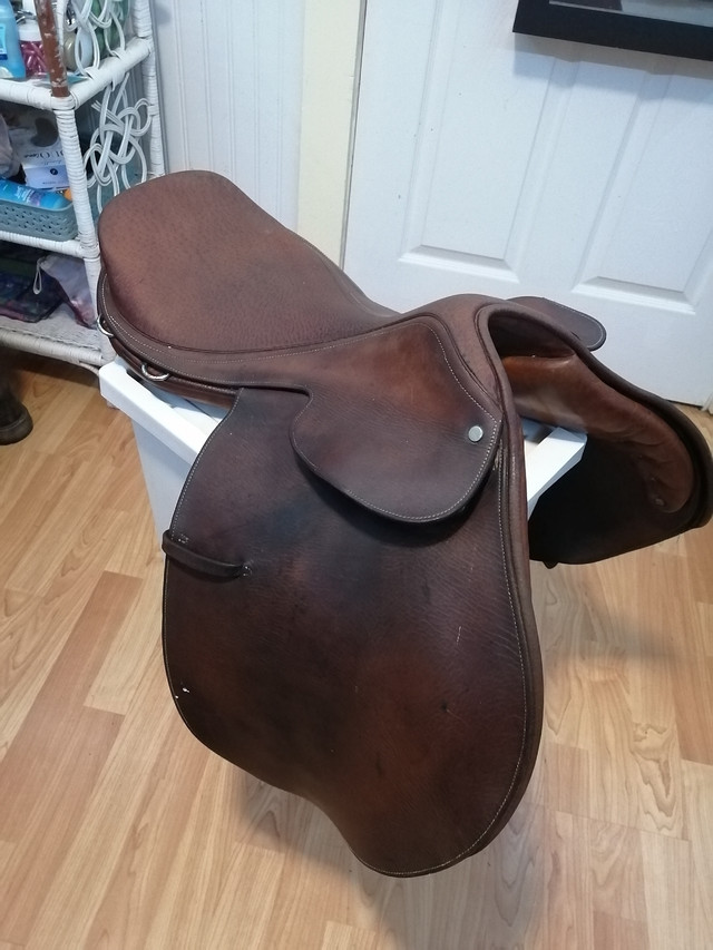 17.5" Springtree Jumping Saddle in Equestrian & Livestock Accessories in Bedford - Image 2