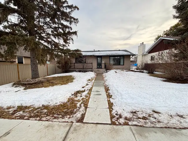 No Pet Alligators or Pet Amoebas