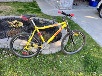 Minelli mountain bike