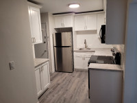Newly renovated 2-bedroom; responsible tenants only