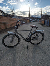 Cortina Urban Bike 