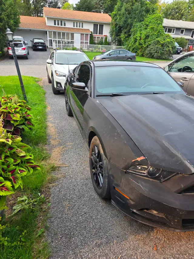 2014 Mustang557469095597199362