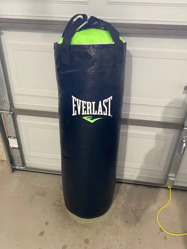 Everlast Everstrike Boxing Bag in Exercise Equipment in Cambridge - Image 2