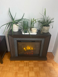 Electric Fireplace  with remote 