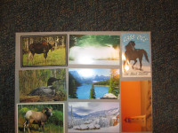 8 unused postcards (new)