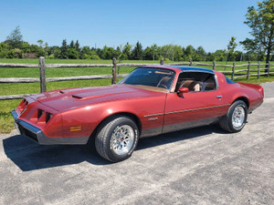 1979 Pontiac Firebird Formula
