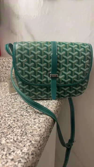 Goyard bag, View more