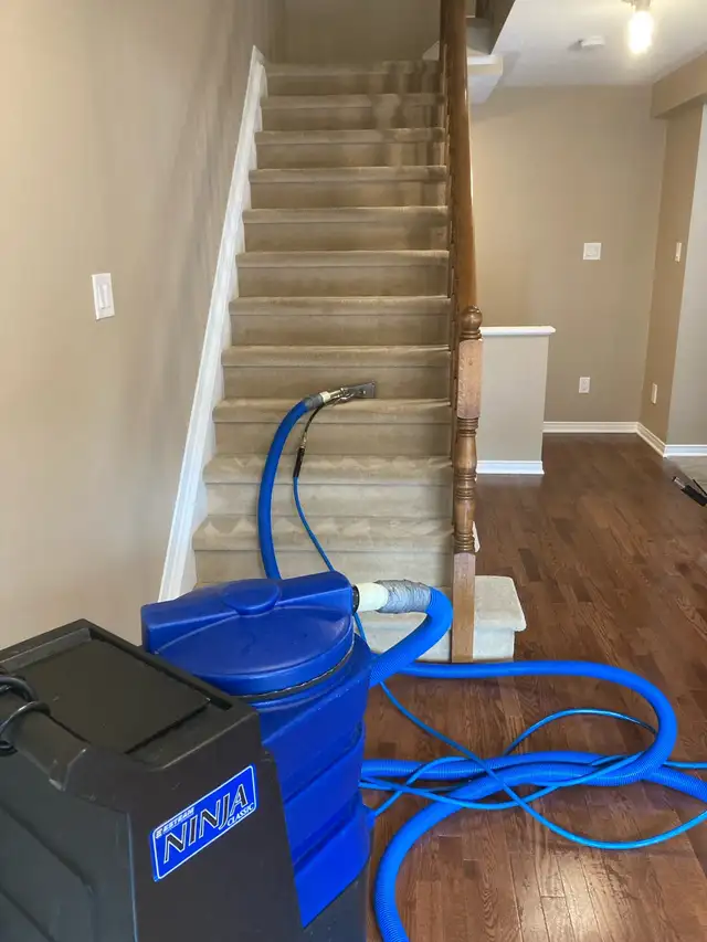 sofa carpet and chair cleaning 63006659197057123