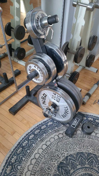 Olympic weight plates, stand, dumbbells