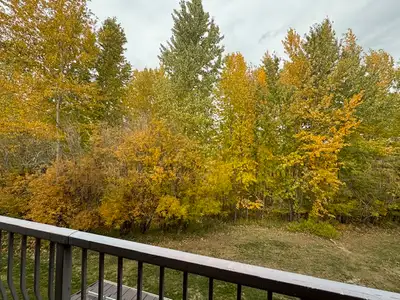 Kimberley One Bedroom Furnished Condo For Rent