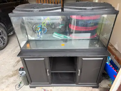 55galloon aquarium fish tank with stand for sale, View more