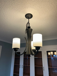 ceiling light for sale