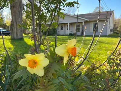 Picturesque 2 bedroom apt for rent - New Minas