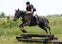 Seeking horses & riders for free photoshoots 