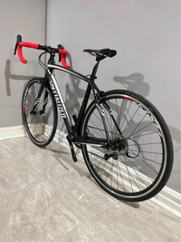 Specialized Roubaix Carbon Endurance Road Bike Size Medium