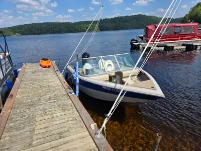 Bateaux prinscraft 174 sport fish 2013 avec 115hp mercury +/-550h acheté neuf en 2014 entretenus au...