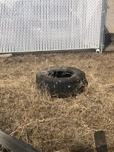 FREE: Tire. 
, View more