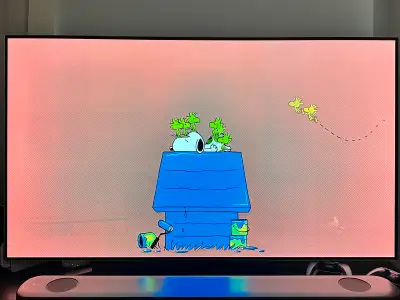 LG OLED 65” B7 has Pixel Burn In, View more