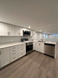 Brand New and Large 3 Bedroom Lower For Rent Great Lindsay Area