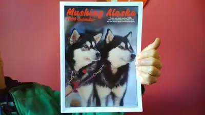 Photos and race results of the 1999 27th Iditarod Trail Sled Dog Race & the 16th Yukon Quest Interna...